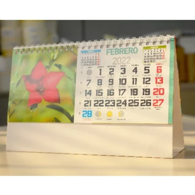 Calendarios de Sobremesa WIRE-O
